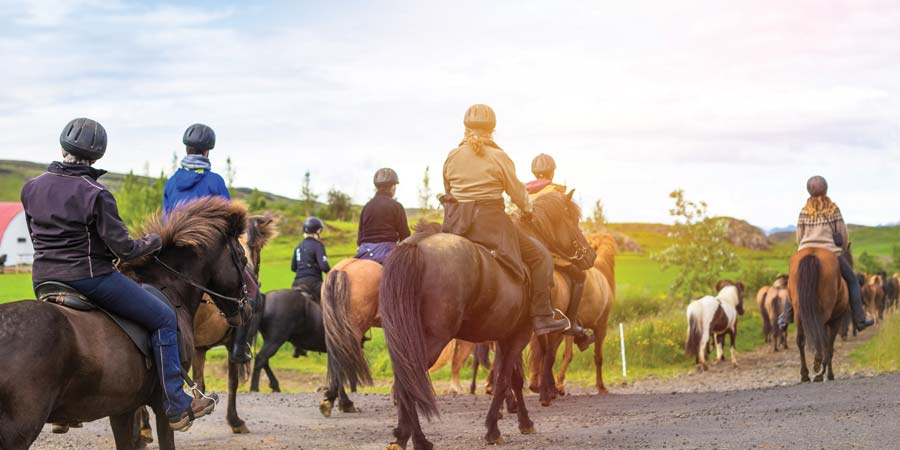 Horseback Riding