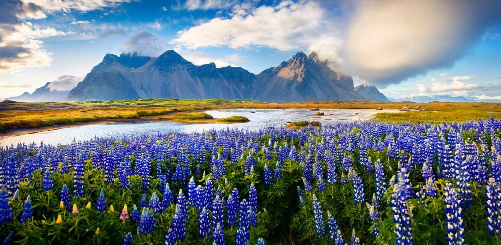 Safe to travel to Iceland this summer?