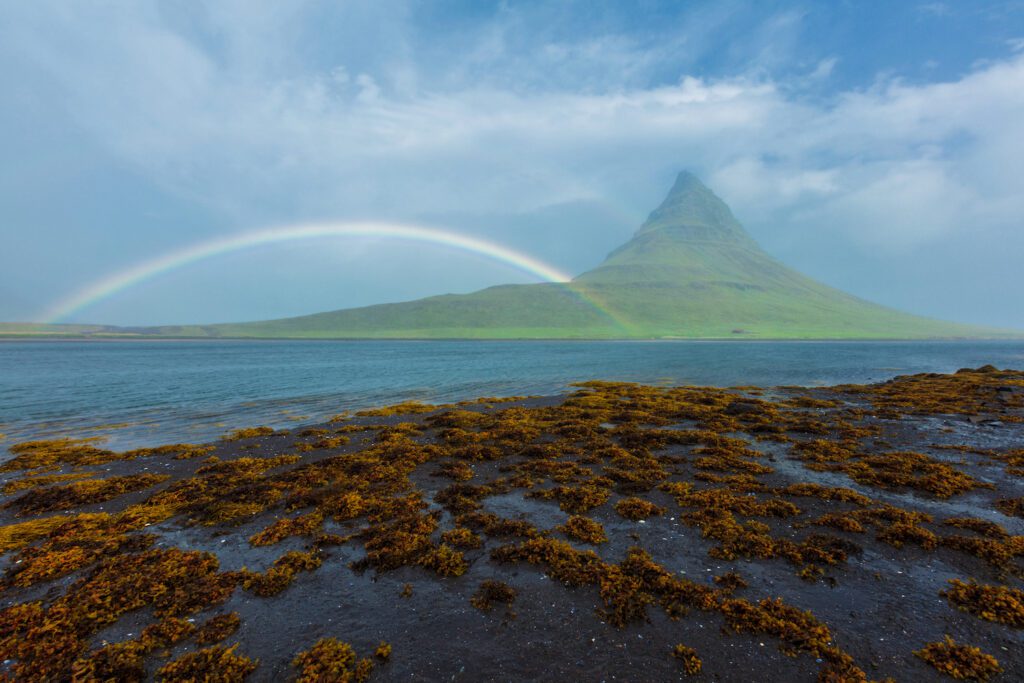 private tours to iceland