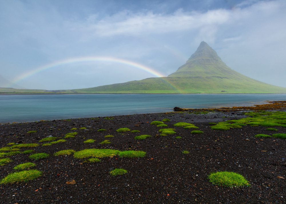 day tour companies in iceland